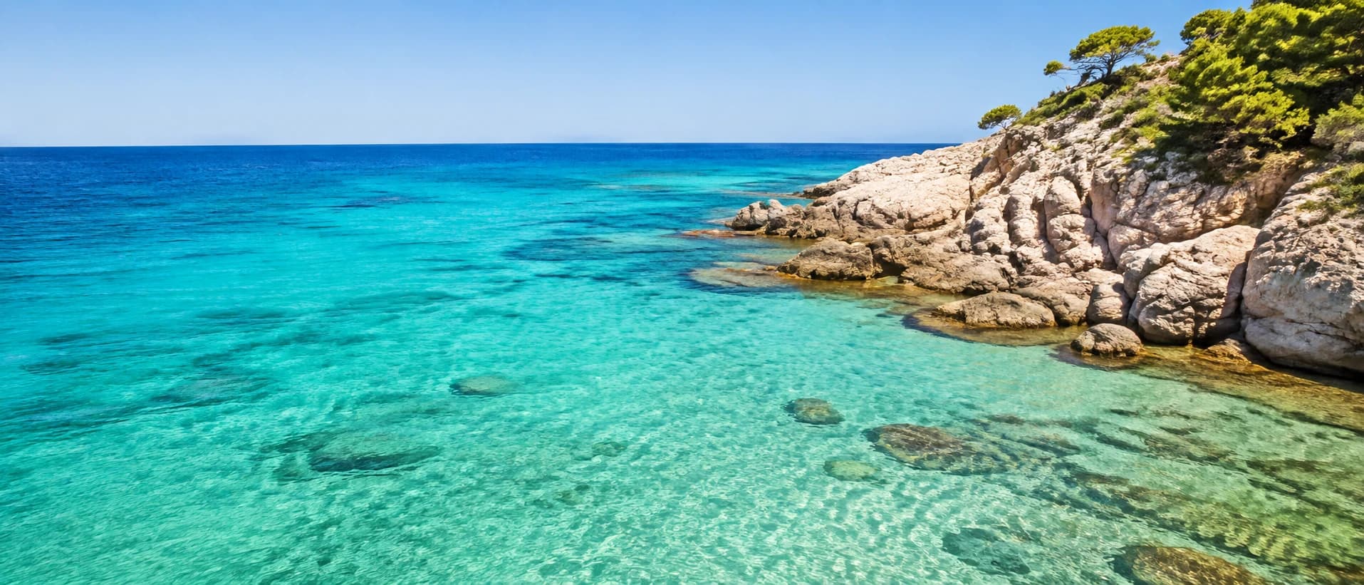 Sunlit Mediterranean cove with clear turquoise water, pale rocks and pine trees