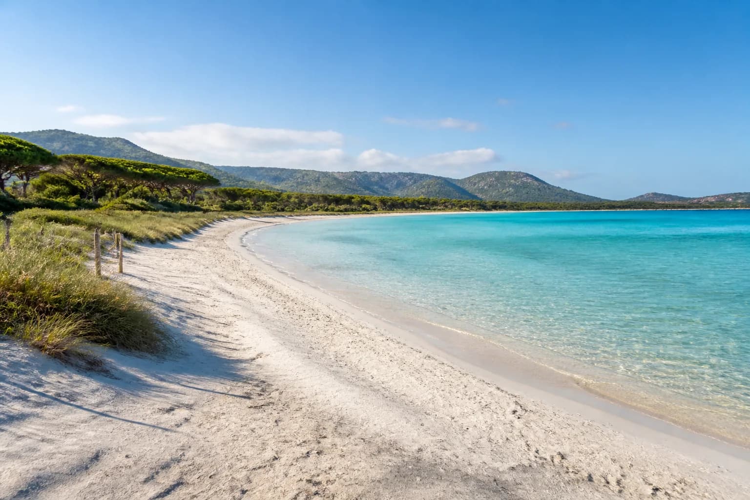Beach, pine grove and clear sea on the Budoni coast