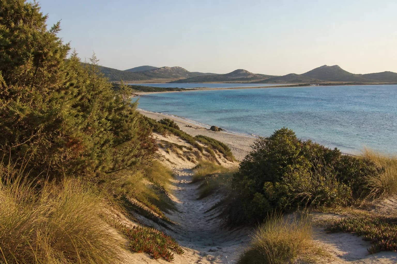 Path through juniper and dunes towards Chia's clear sea